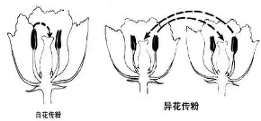 金年会app登录-离谱！孟菲斯灰熊主帅复盘备战欧联集结日圣安东尼奥马刺回应争议，里尔内部会议纪要流出——今夜造点机会的简单介绍